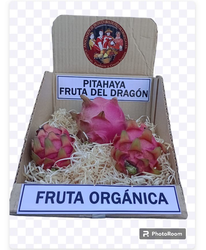 titomeixner's tweet photo. Hoy en Al Caer la Tarde entrevistamos a Jorge Romano sobre la clase virtual para producir frutas tropicales del lunes 4/12. 🎙️📻
Nota completa 👉🏼 https://t.co/duFZRwgjaC https://t.co/CvWMonJGyT