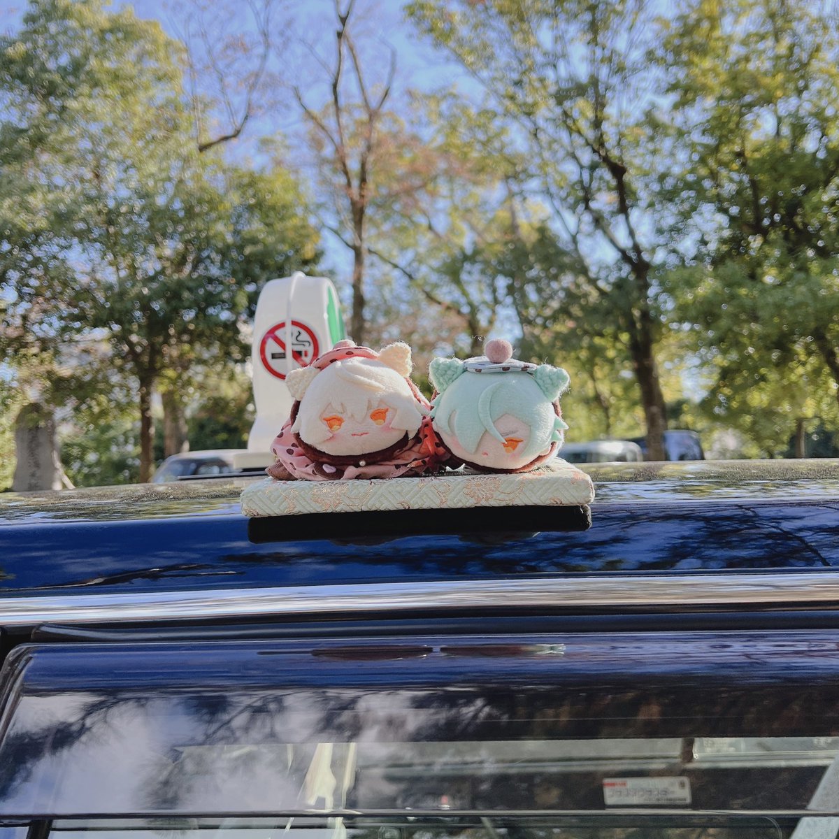 ももぐり🦁📿 tweet media