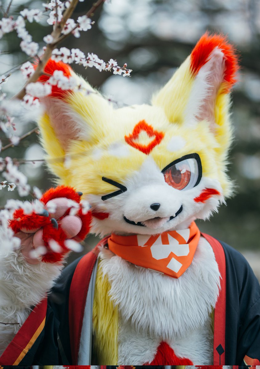 FurrySparkle's tweet photo. ✌️😜
#FursuitFriday 
📷：小白
推推��白：q1719345203 https://t.co/GwSsQuUxtl