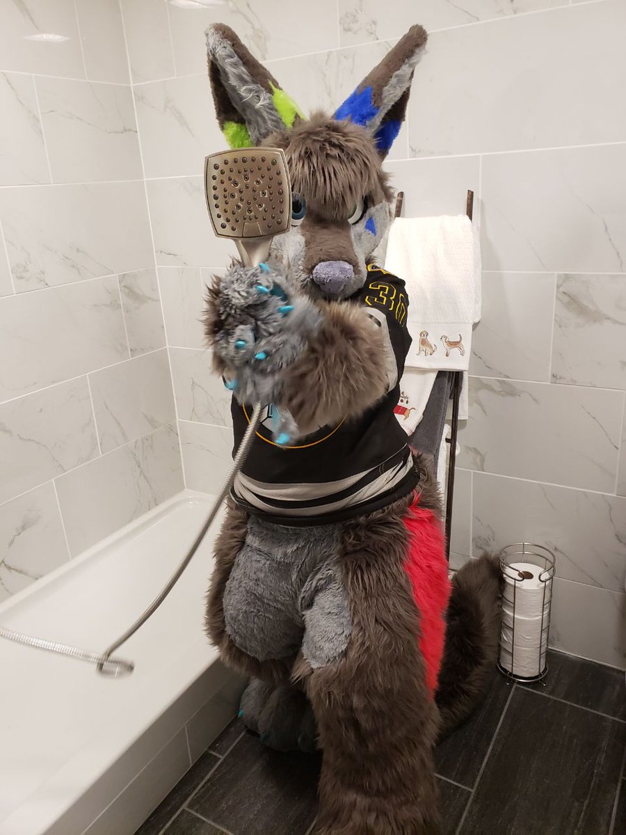 TFenroo's tweet photo. Someone said you are a bit stinky......come here and get a bath!

#FursuitFriday https://t.co/4gqfKqqVwc