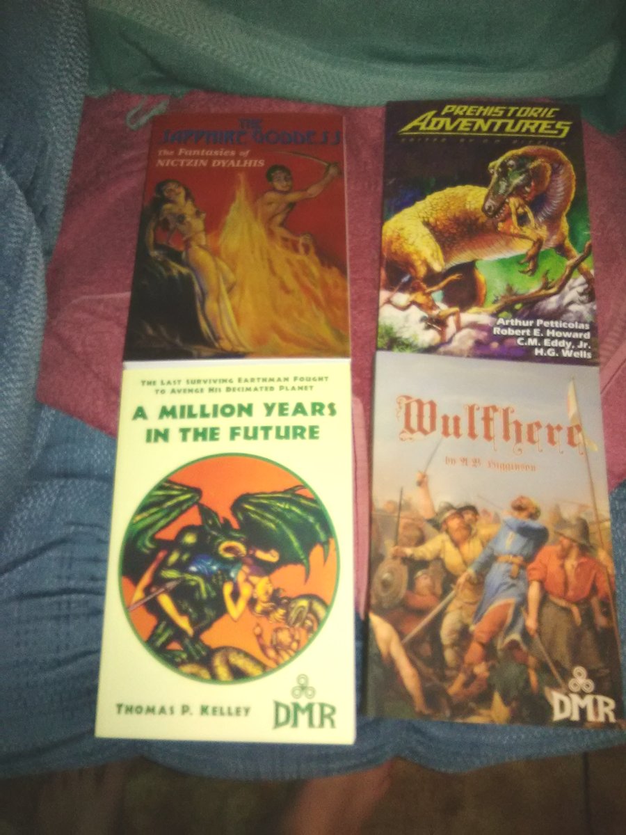 I got my @dmrbooks Black Friday order today, gonna have some good reading ahead.