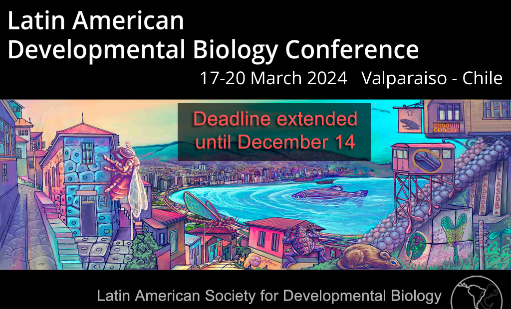 We've extended the registration and abstract deadline for the Latin American Developmental Biology Conference in Valparaíso, Chile. Don't miss out on the chance to connect, learn, and explore. New deadline December 14 meetings.embo.org/event/24-dev-b…