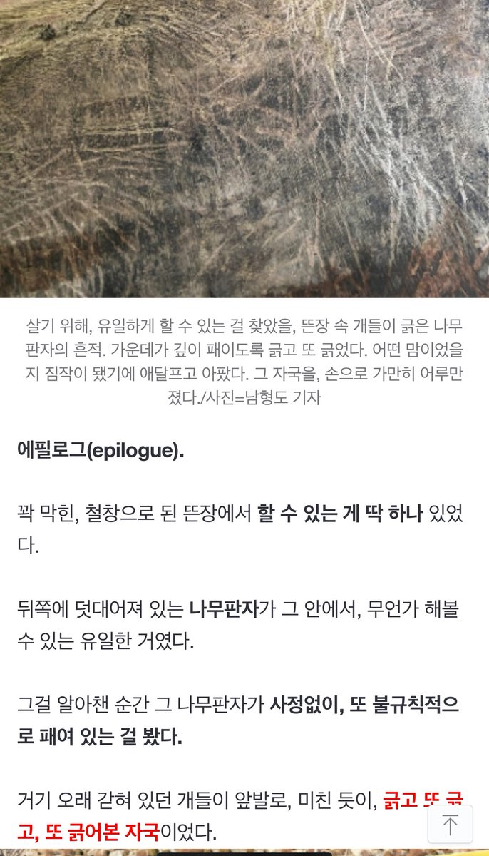 haeppletv's tweet photo. 꼭 전문을 읽어봐주세요 
https://t.co/KbvJVcqeNb https://t.co/uFCnVYECzm