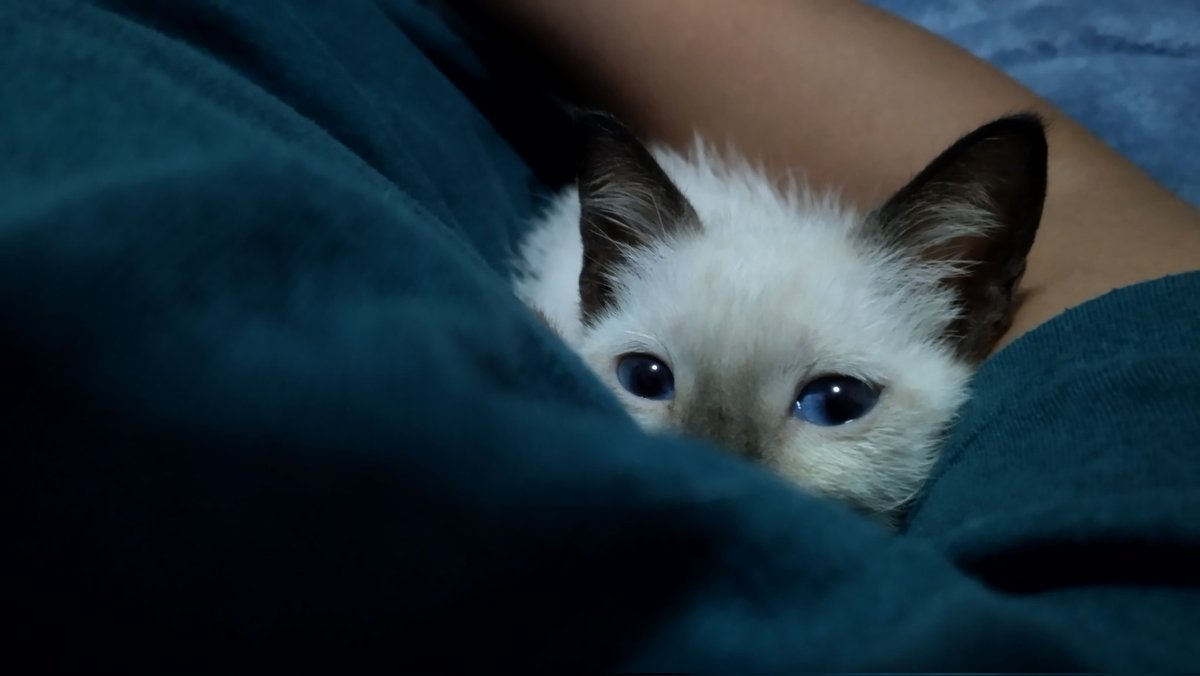 Post a random photo otherwise everything will go wrong in December