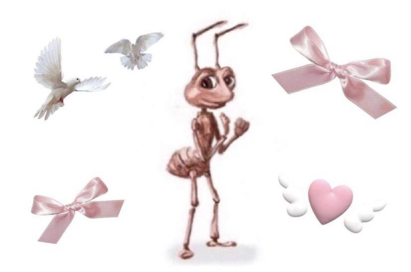 las chicas (yo) cuando se toman un taxi y es una chica la que maneja