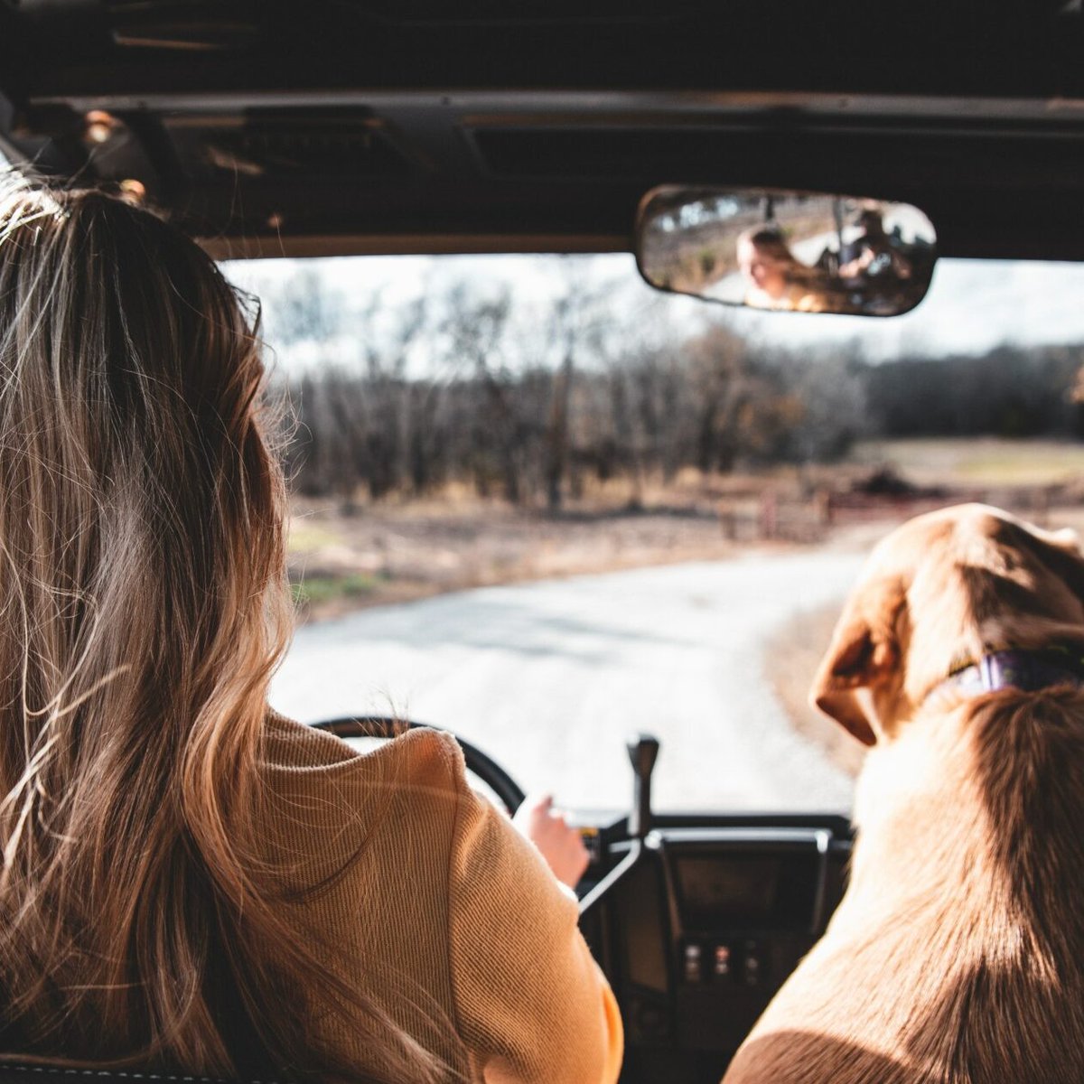 Don’t let sniffles and sneezes affect your holiday travel plans! ✈️ Read our latest blog for allergy safety traveling tips. bit.ly/3GsBF0g

#HolidayTravel