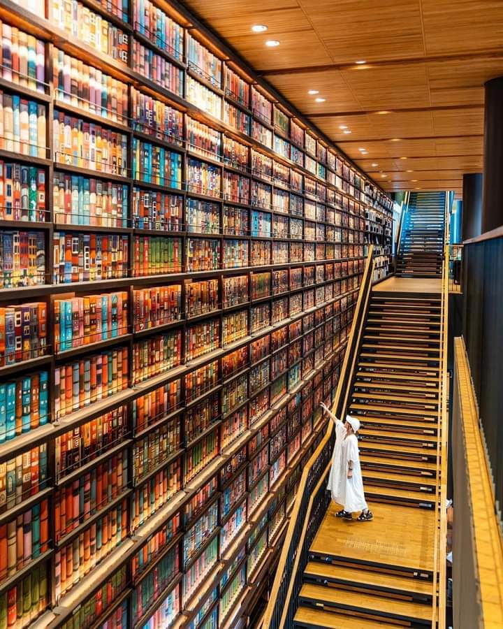 Bibliomaniatico's tweet photo. "La máquina del tiempo existe: son los libros.”

Irene Vallejo https://t.co/YDbEK5n8Tz