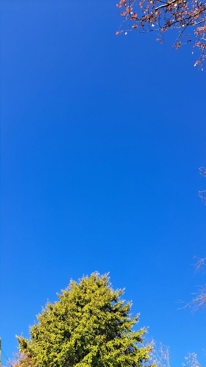 Raiyocimin's tweet photo. イマソラ
あおーい https://t.co/OAQCP48jrn