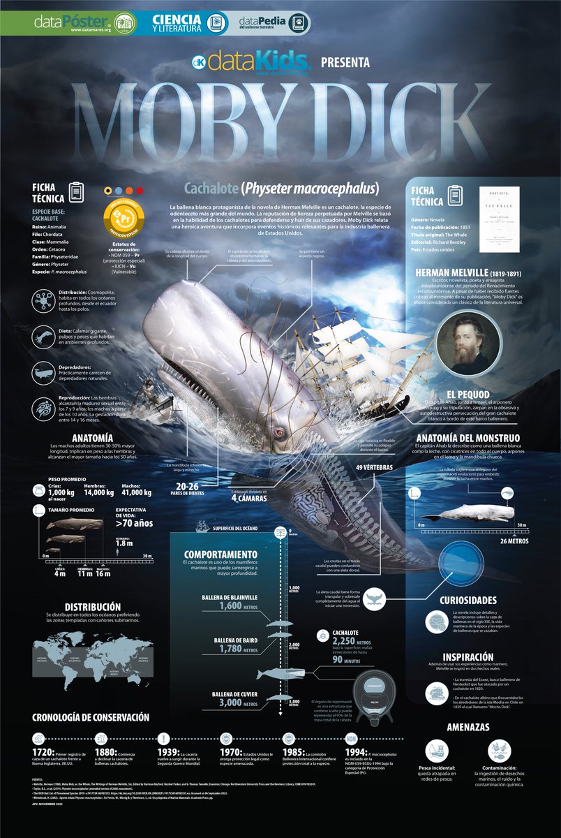 📚 Del escritor Herman Melville, Moby Dick fue publicada en 1851 y se inspiró en la industria ballenera del siglo XIX. Conoce más sobre la enigmática ballena blanca con el nuevo #dataPoster:

📌 datamares.org/preview/dp_mob…

#SomosLectores #CienciayLiteratura #EspeciesPrioritarias