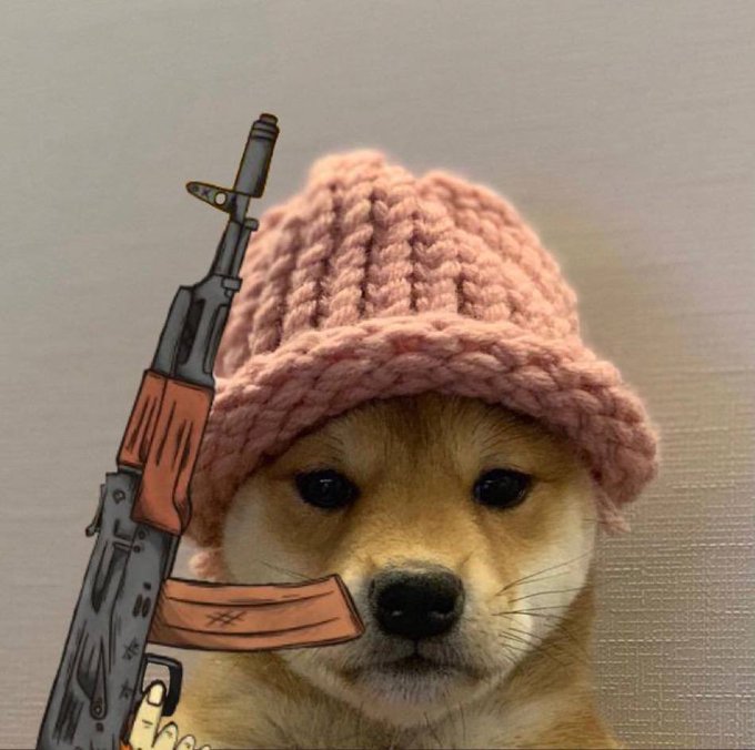 RickyBruni's tweet photo. @dogwifcoin @SOL_SNATCHER $Wif on $SOL https://t.co/x7ZoKCgy14