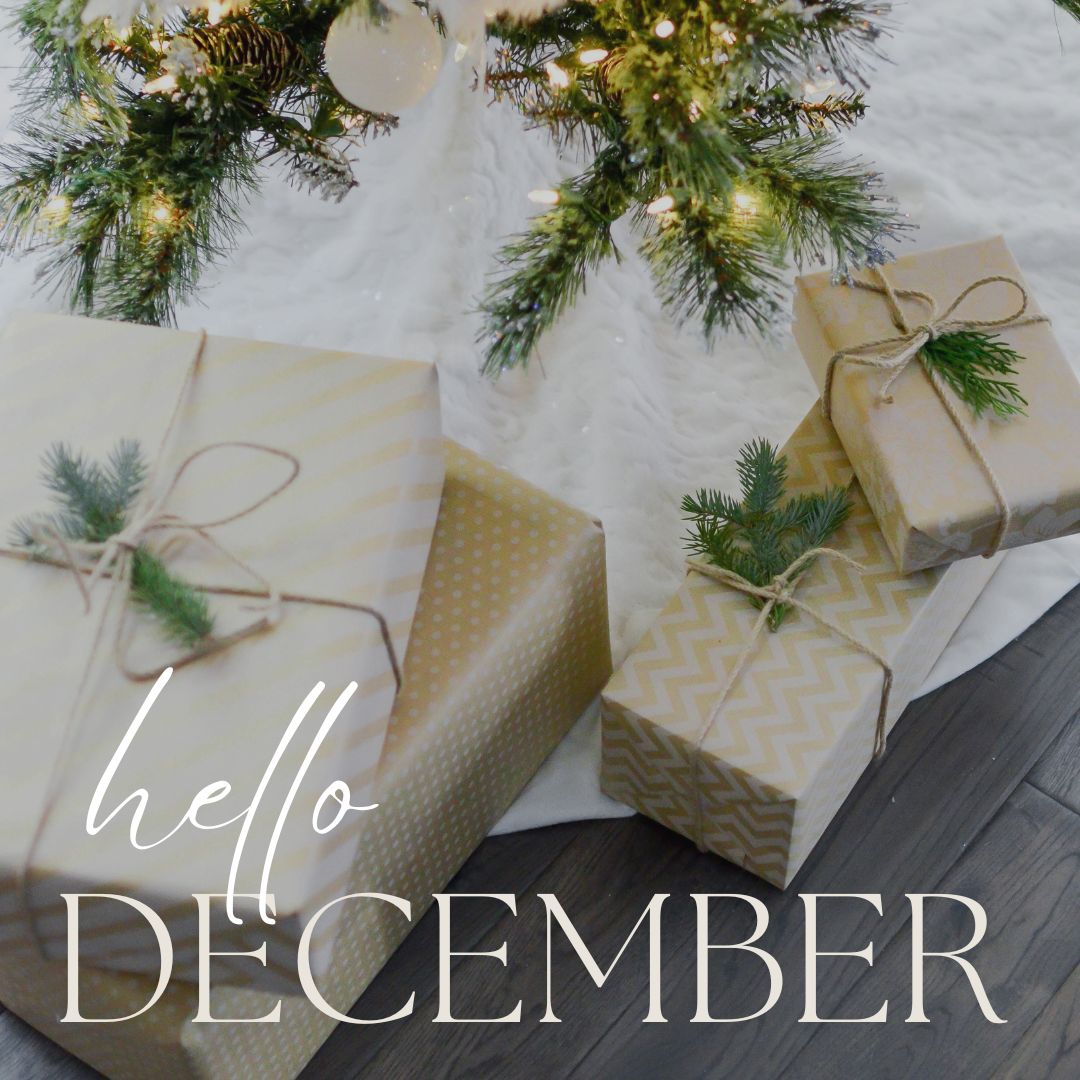 noirbooksto's tweet photo. Hello December....Wow I cannot believe it is almost the end of 2023. We clearly have not accomplish half the things that we wanted to do this year, but life happens and I'm still here so cheers to being here and looking forward to 2024. https://t.co/UmvUKrdYBK