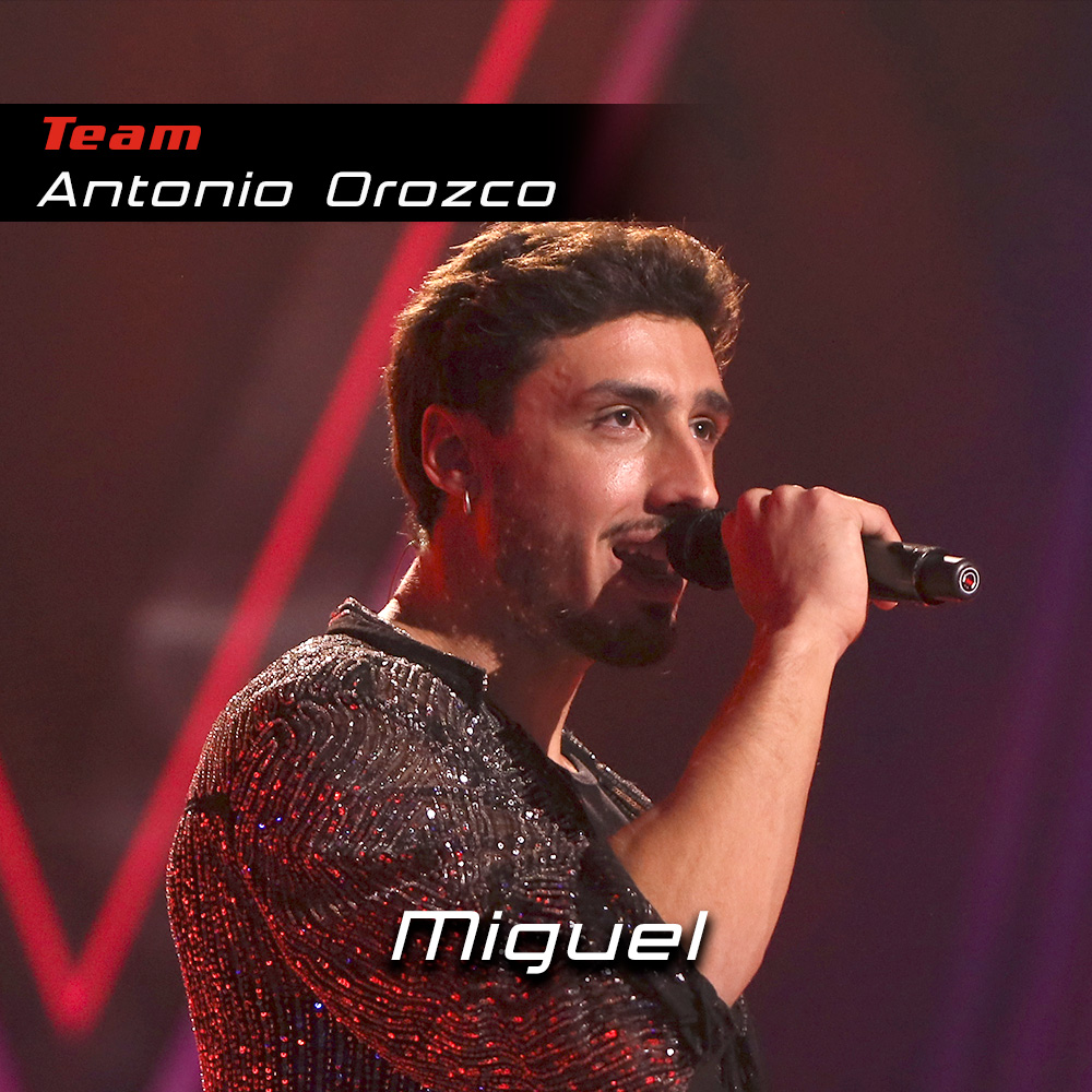 LaVozAntena3's tweet photo. 💥 ¡Ya tenemos a nuestros finalistas de #LaVoz! 💥

🎙️ Elsa Tortonda
🎙️ Pablo Verdeguer
🎙️ Nereida Sanchón
🎙️ Miguel Carrasco

⚠️ Recuerda que ya puedes votar a tu ganador aquí 
👉https://t.co/P9NSNGW5Q0👈 #LaVozSemifinal https://t.co/lg1ygxFeLR