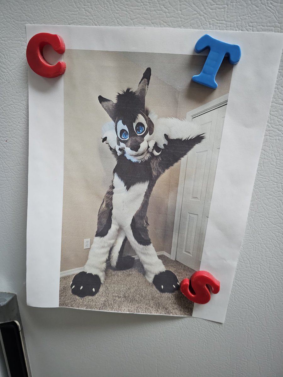 Gengi Cabbit tweet media