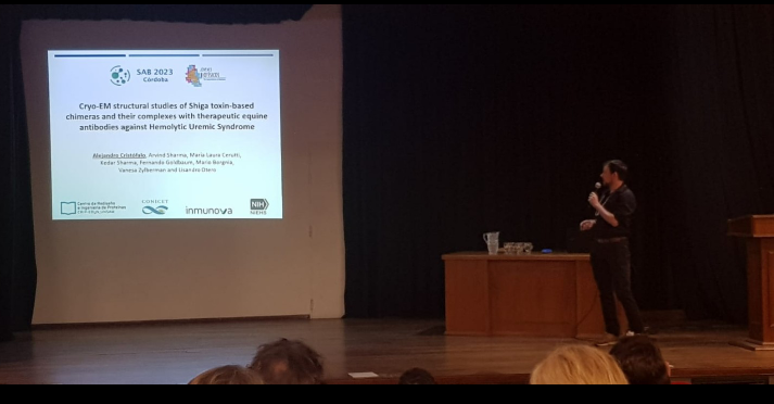LisandroHOtero1's tweet photo. @alecristofalo exposing the #cryo-EM structures of Shiga toxin-based chimeras in complex with therapeutic antibodies at the @SABiofisica congress #SAB2023. A successful public-private partnership between our group with @inmunova and @mjborgnia lab on  innovation-related research. https://t.co/gVaJVujCZv