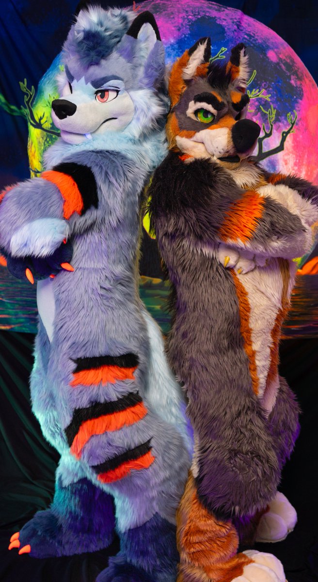I guess he passes as a good yote...for a Yote...but what are YOU looking at cutie

📸: <a href="/Growlph/">Growlph</a> 
Coyote: <a href="/AnejoYote/">Anéjo Yote 🔜 MP, Furvana, AFC</a> 
#FursuitFriday