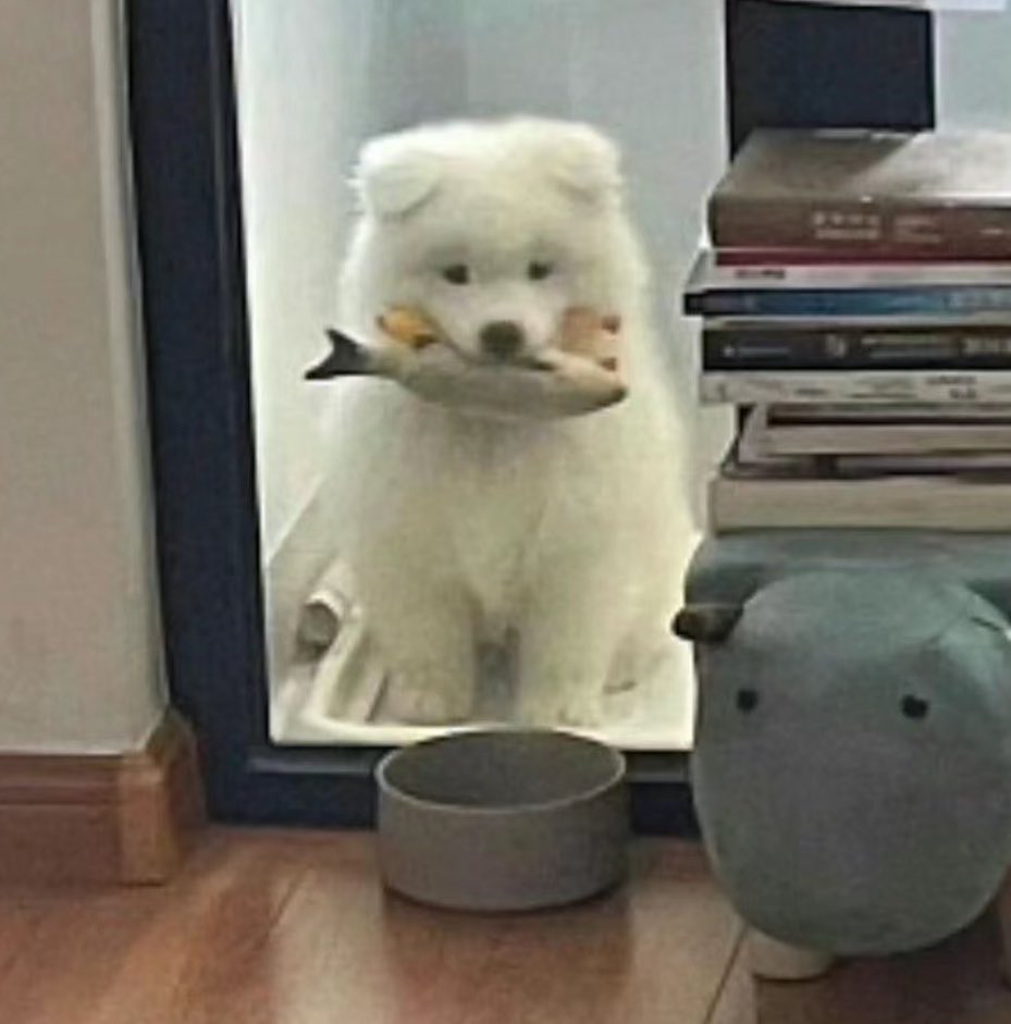 ชอบแมวมั้ย เราก้เป็นแมวได้นะ