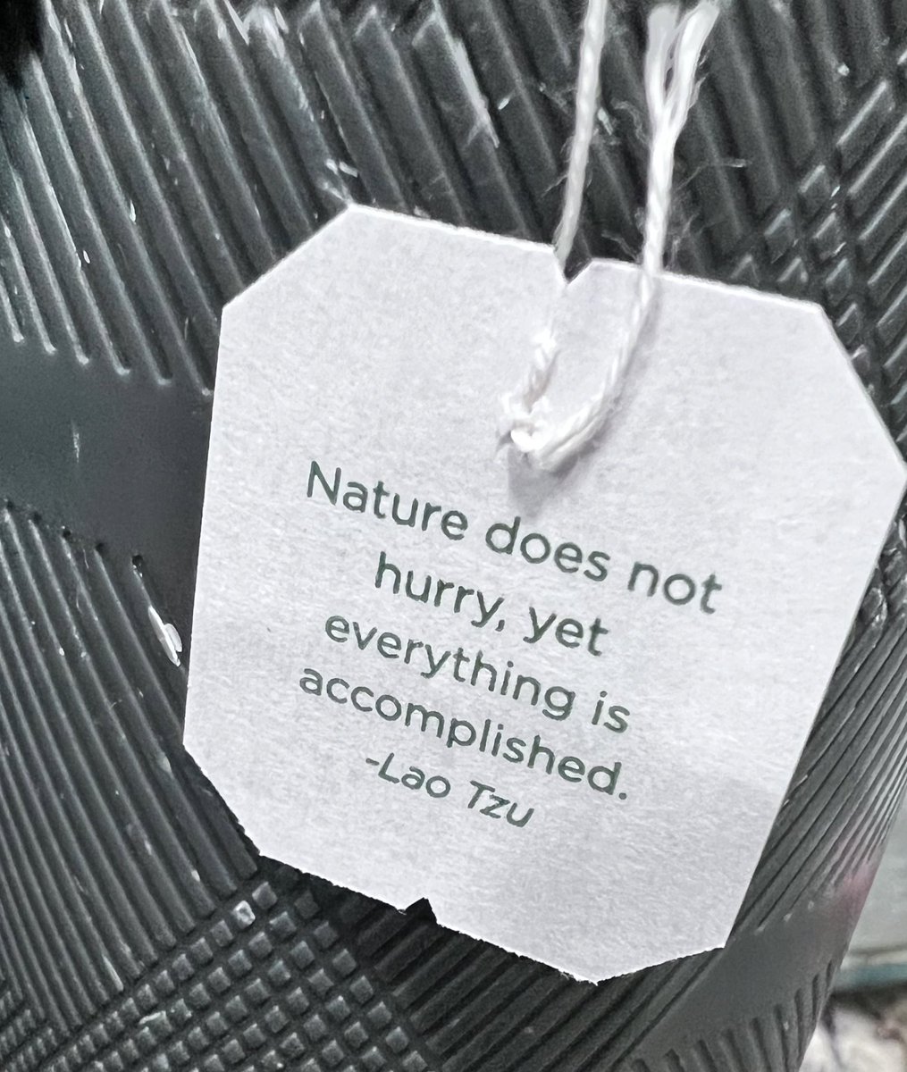 Shalini | Invest ➡️ FI tweet media