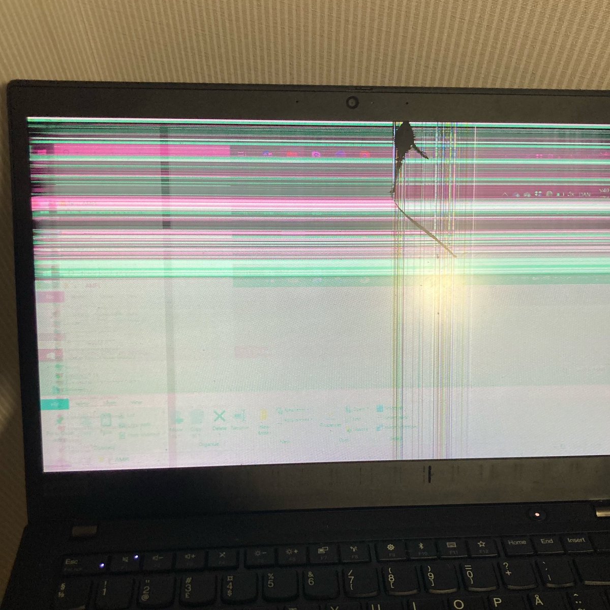 Frikk Nesje tweet media