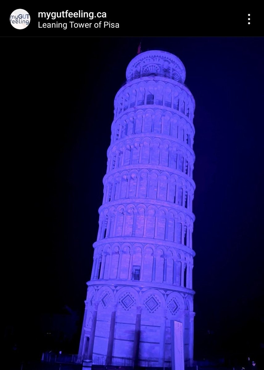 Katy Kosyachkova 🇺🇦 tweet media