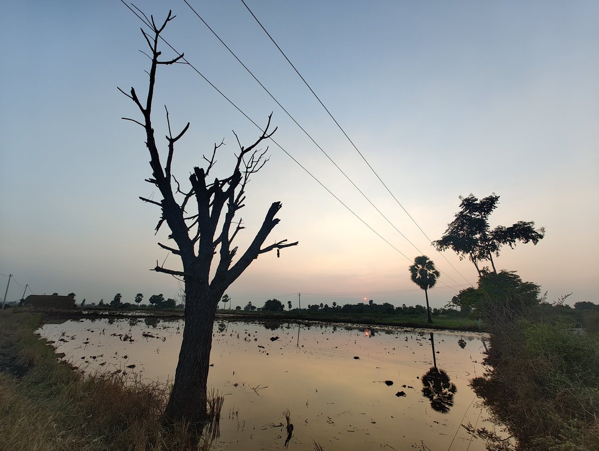deshapanguvams1's tweet photo. With #nothingphone2 @getpeid @nothing @nothingindia https://t.co/8yiFvJAIhU