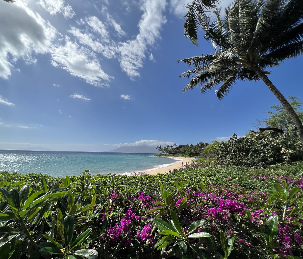 Happy Aloha Friday!🌺🏝
MauiRealEstateAdvisors.com
#MauiRealEstate #LuxuryHomes #LuxuryRealEstate #Maui #IslandLife #MauiForSale #Kihei #Wailea #MauiHome #MauiRealEstateAdvisors #Kula #Luxury #OceanView #Makena #ExploreMaui #Hawaii #SouthMaui #BeachFront #Aloha #Paradise #MauiNoKaOi