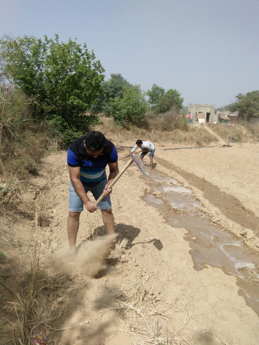 jha_yatendra's tweet photo. Tell me the best shot I played in #Farming #SmartFarmers @jaivikgurugram #WeekendFarming #SaturdayMorning #SaturdayVibes #SaturdayMotivation #SaturdayMood #organicfarming #naturalfarming #COP28 #Farmers #FarmersDay2023 #FarmersDay #Sustainability #Food #ecosystem #GlobalWarming https://t.co/nOmA1iU7ab