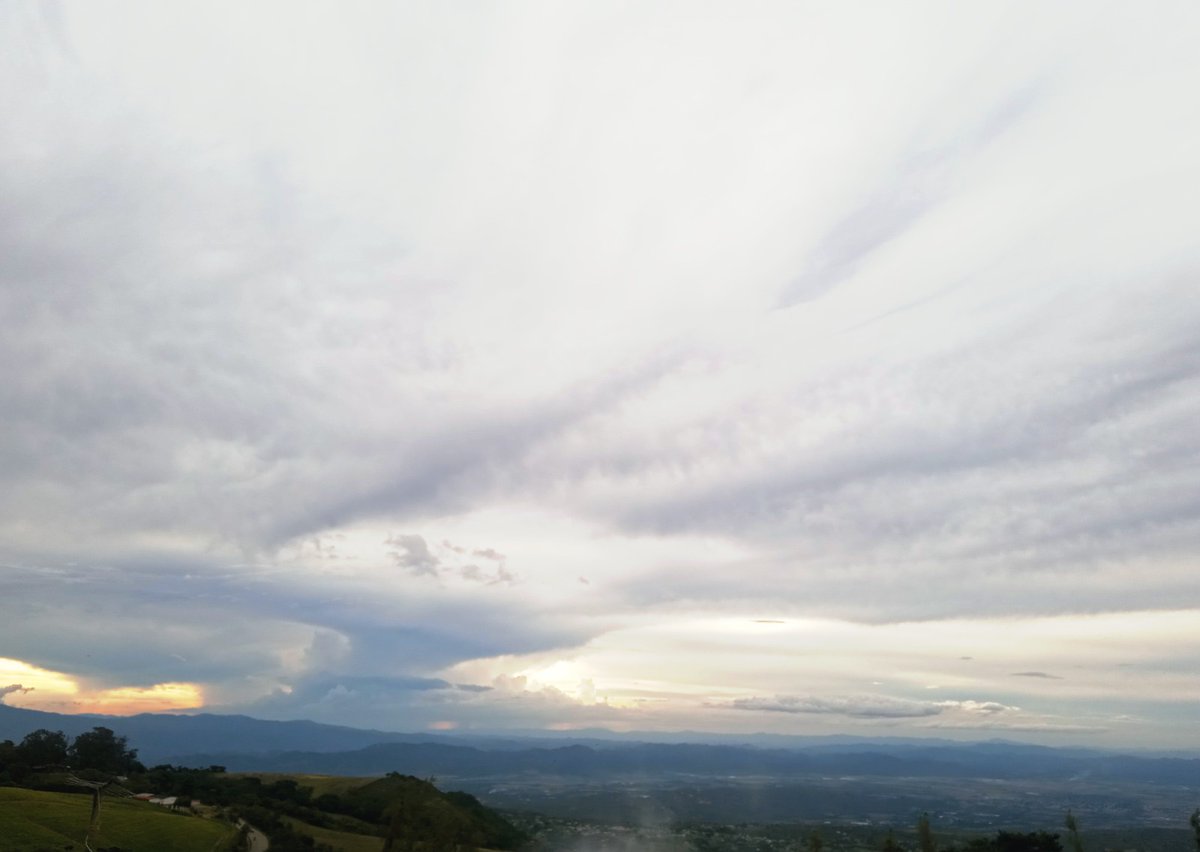 MGabriela tweet media