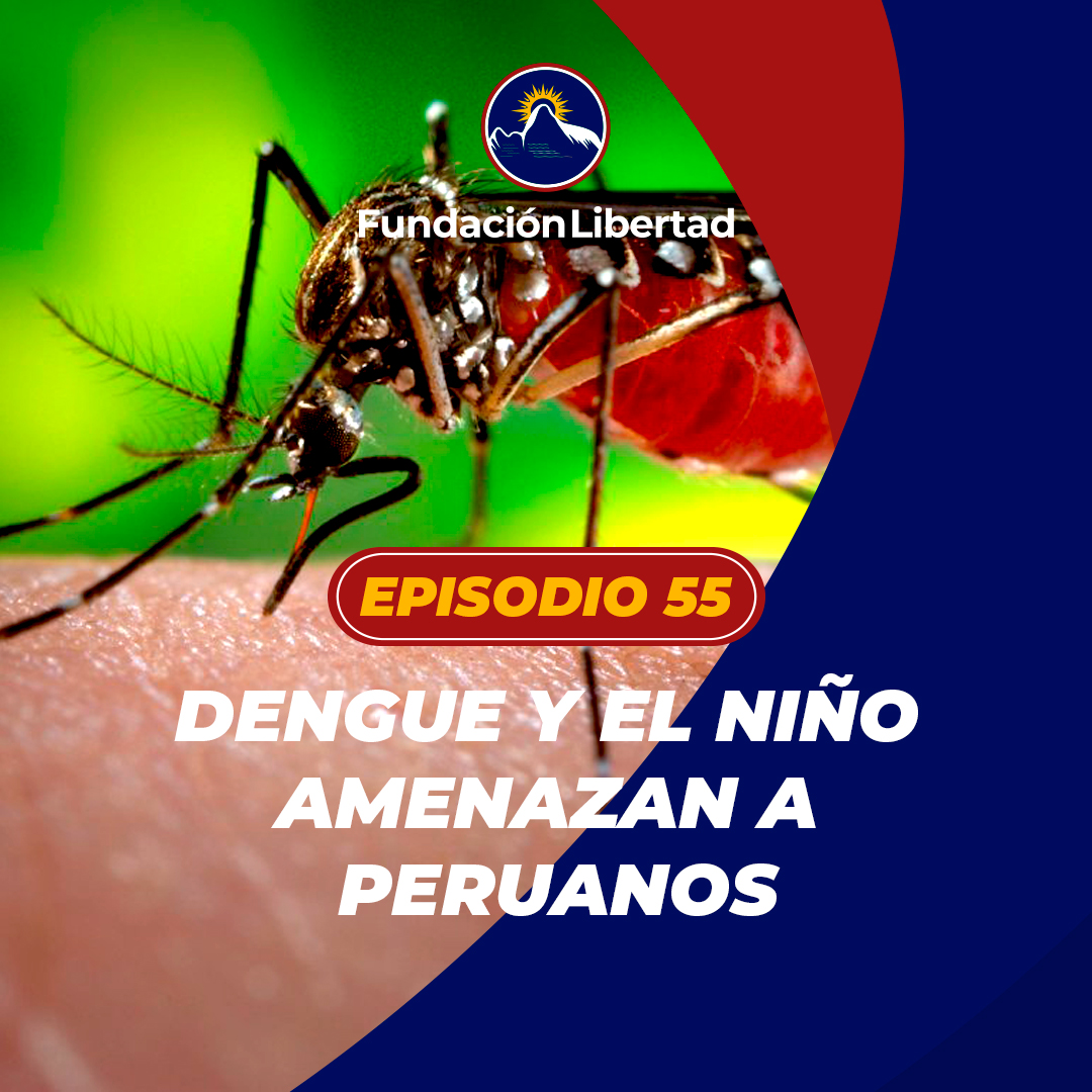 ✅Fiscal de la Nación no acudió a cita del Congreso
✅Muertes por dengue aumentaron este año
✅Ministerio de Educación adelanta cierre del año escolar por El Niño
✅Endeudamiento de peruanos creció 9%

👉youtube.com/watch?v=-QxZ4W…