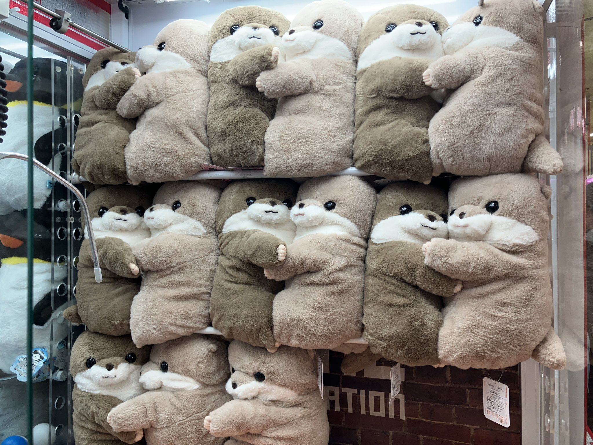 タイトー くったりカワウソの赤ちゃんハグハグウルトラBIG