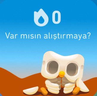 Revsahibi's tweet photo. Ay bu ne? 😢 @duolingo https://t.co/8itok1W3p1