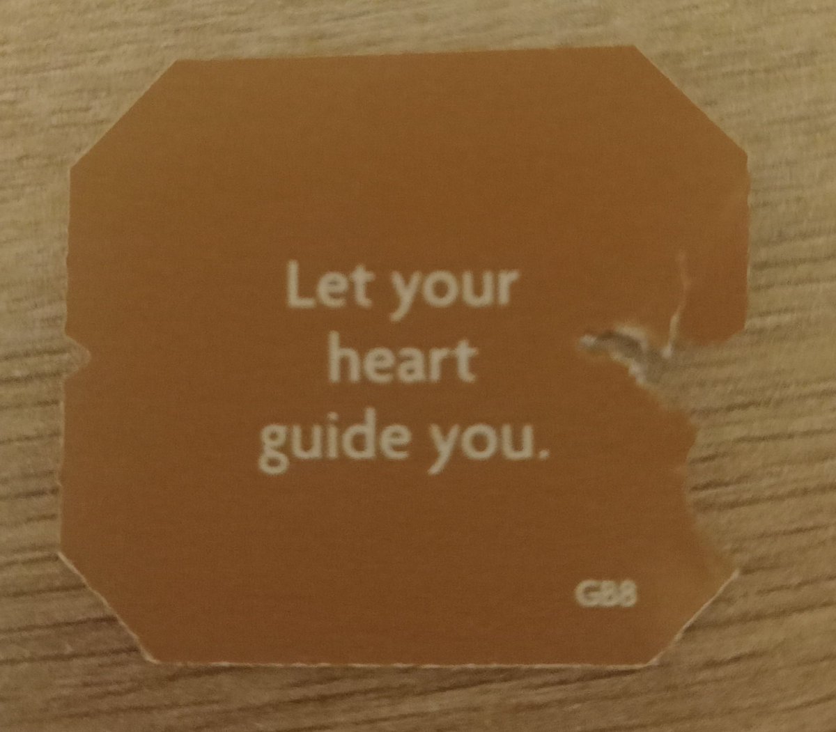 falguera_merce's tweet image. Missatges de #BonDia #MomentsDeVida