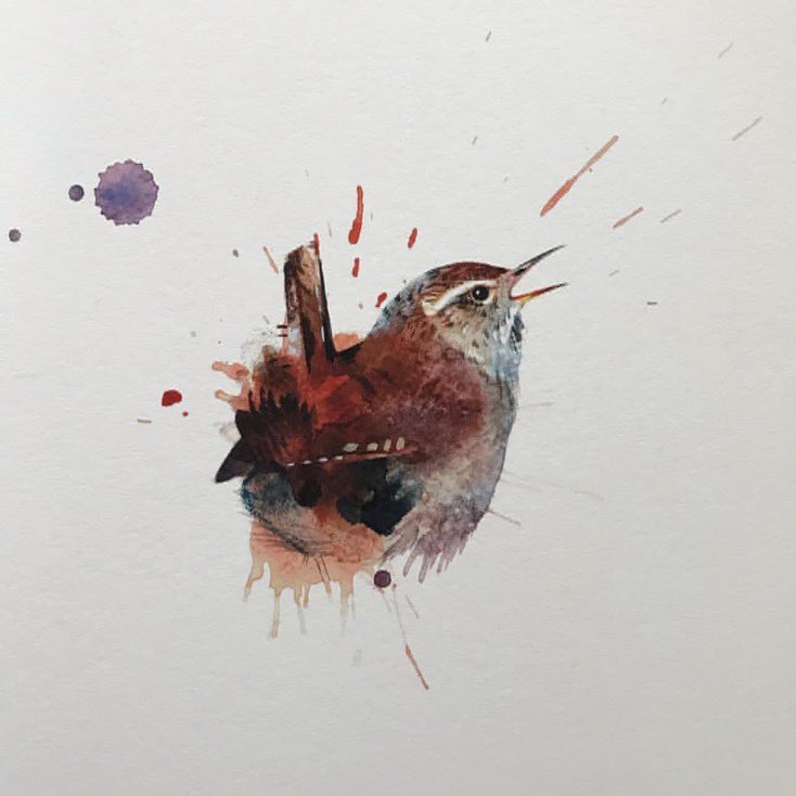 Laura Andrew tweet media