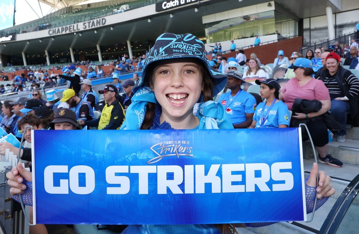 cricket.com.au tweet media
