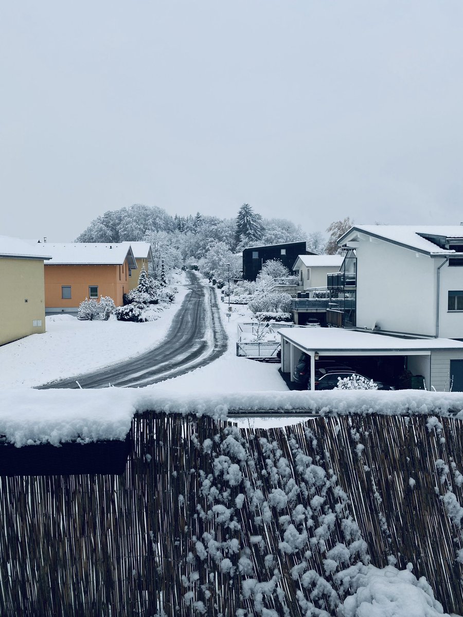 🌊 SanSoSea 🐞 tweet media