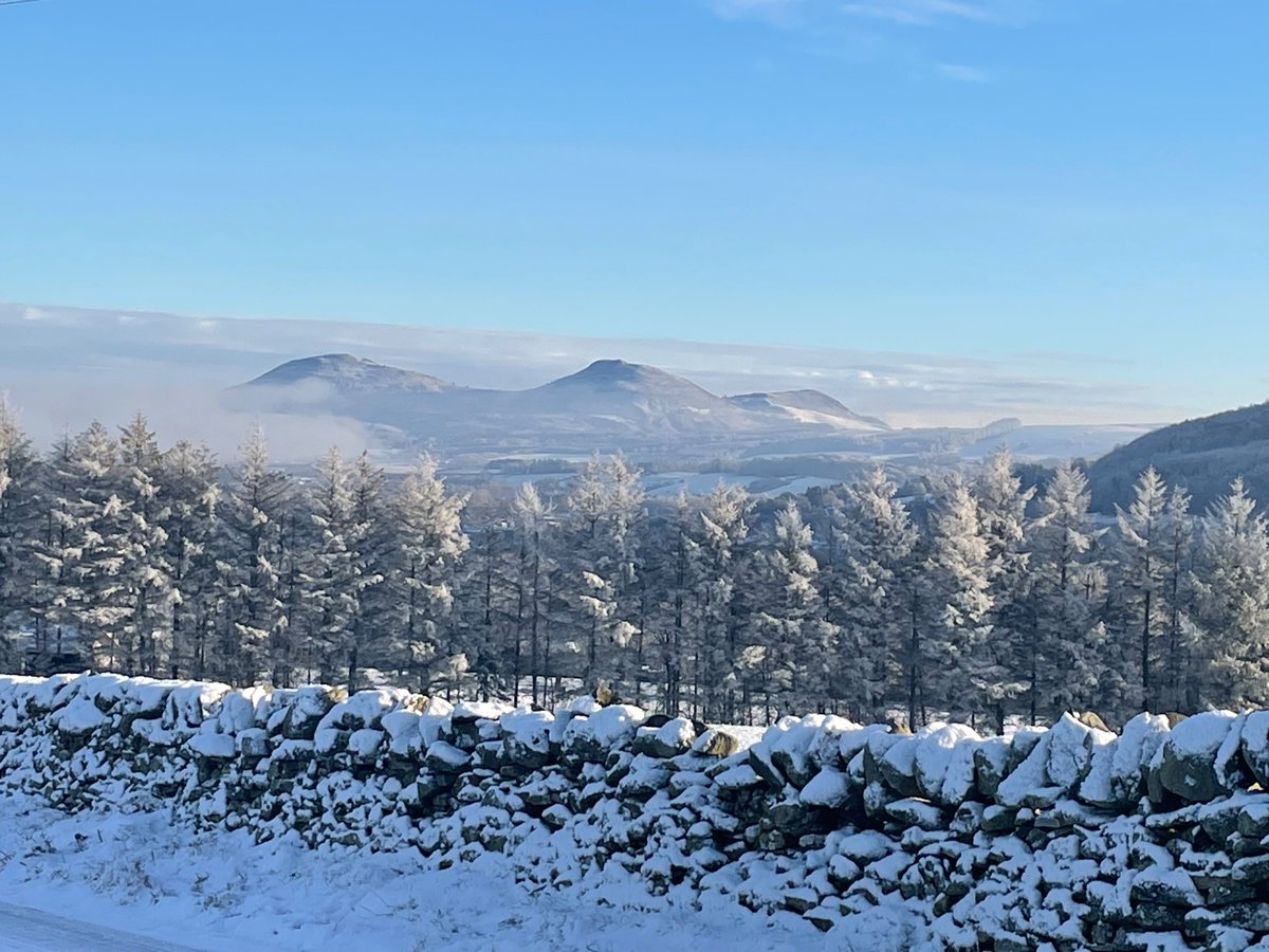 Drowning in admin - VERY glad of yesterdays walk up the hill #scottishborders