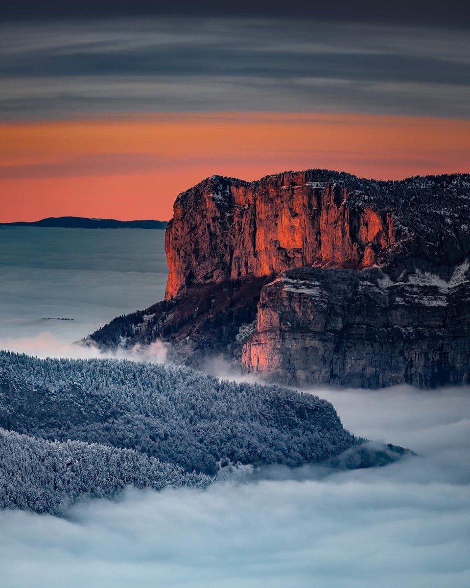 Département de la Haute-Savoie tweet media