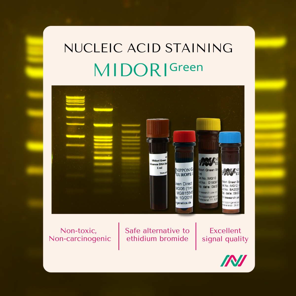 GeneXIndiaBio's tweet image. Ever wondered what would be the perfect match for our 𝗕𝗹𝘂𝗲/𝗚𝗿𝗲𝗲𝗻 𝗟𝗘𝗗 #geldocumentation systems? The 𝗠𝗜𝗗𝗢𝗥𝗜ᴳʳᵉᵉⁿ DNA/RNA line stains!
lnkd.in/ekkZ-T7s