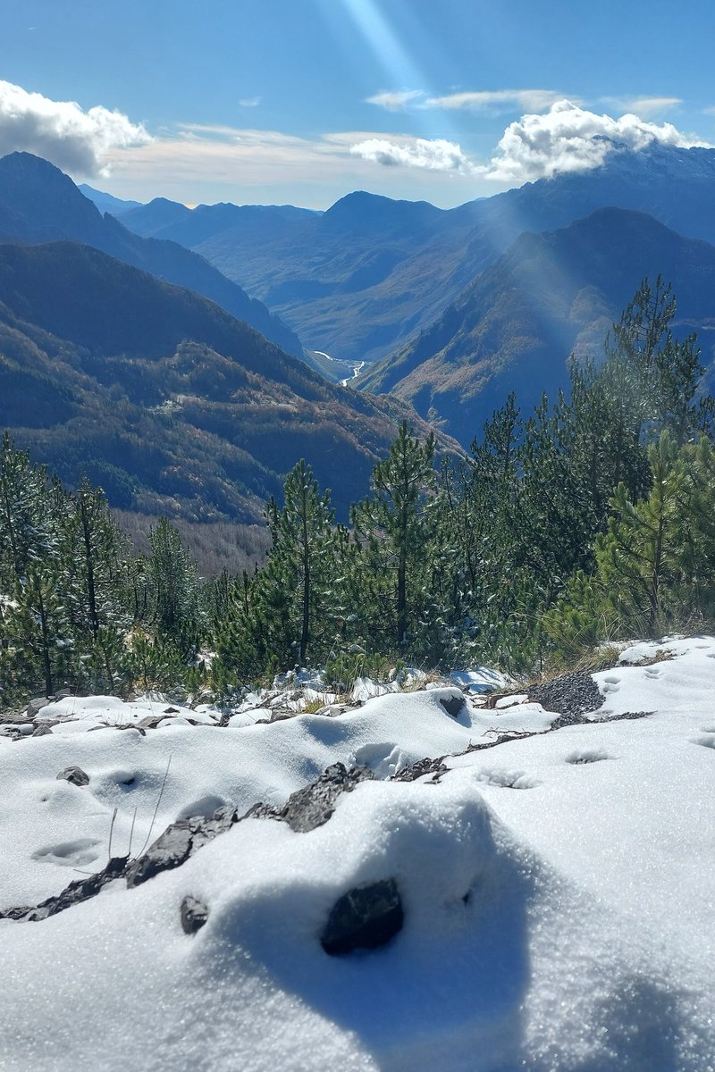 Lizanne Croonen tweet media