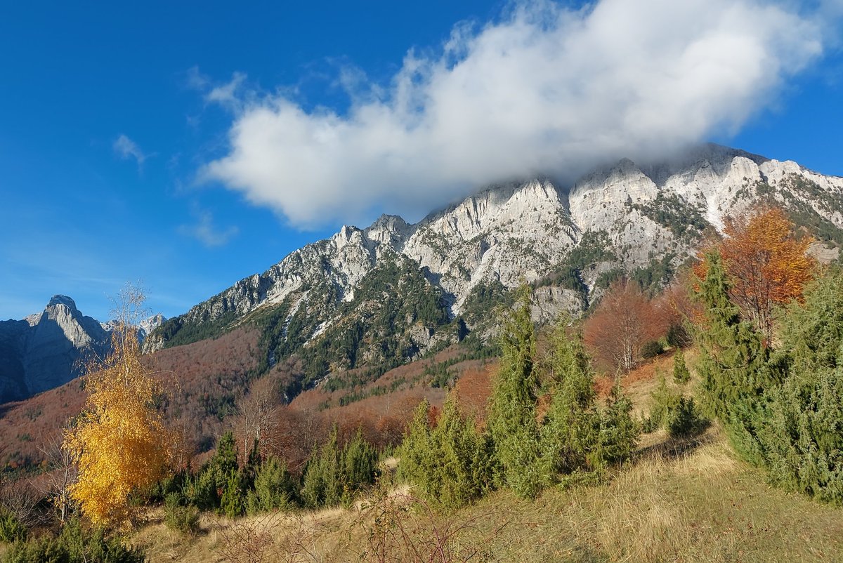 Lizanne Croonen tweet media