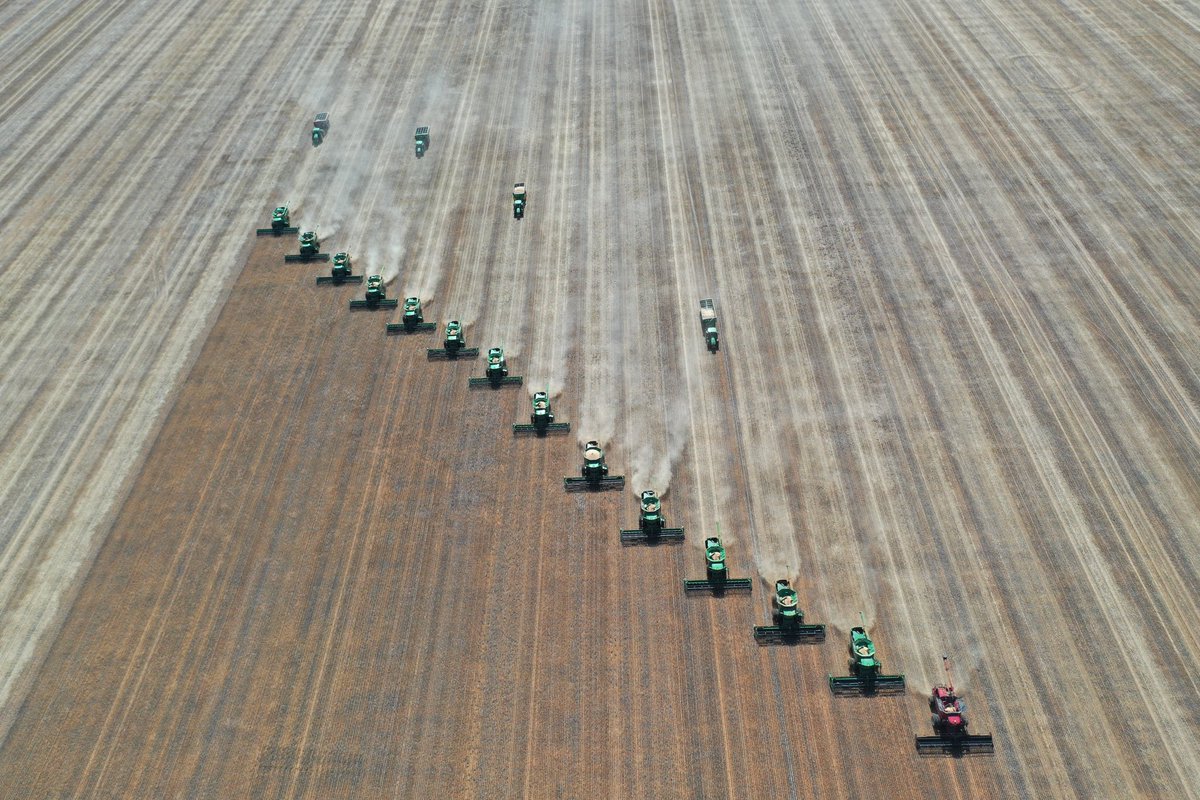 Nathan Sawyer tweet media