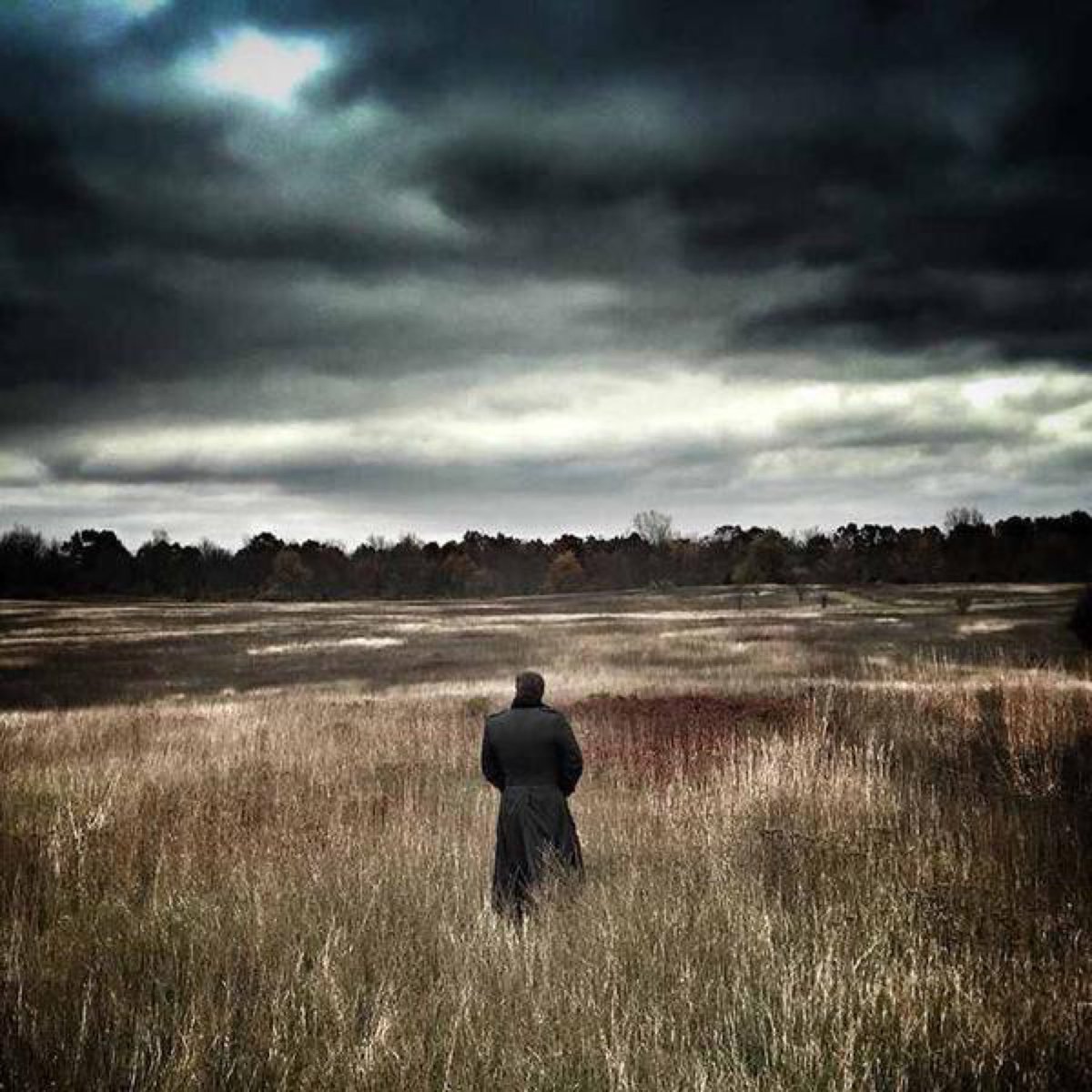 BatfleckMovie's tweet photo. You’re in good hands. 
The other admins are taking over while I need to take a break for my family and my mental health. 
See you soon. 

                      🦇-Admin 1

#AFSP

https://t.co/p11cdKgTin https://t.co/fqpLvo5GjE