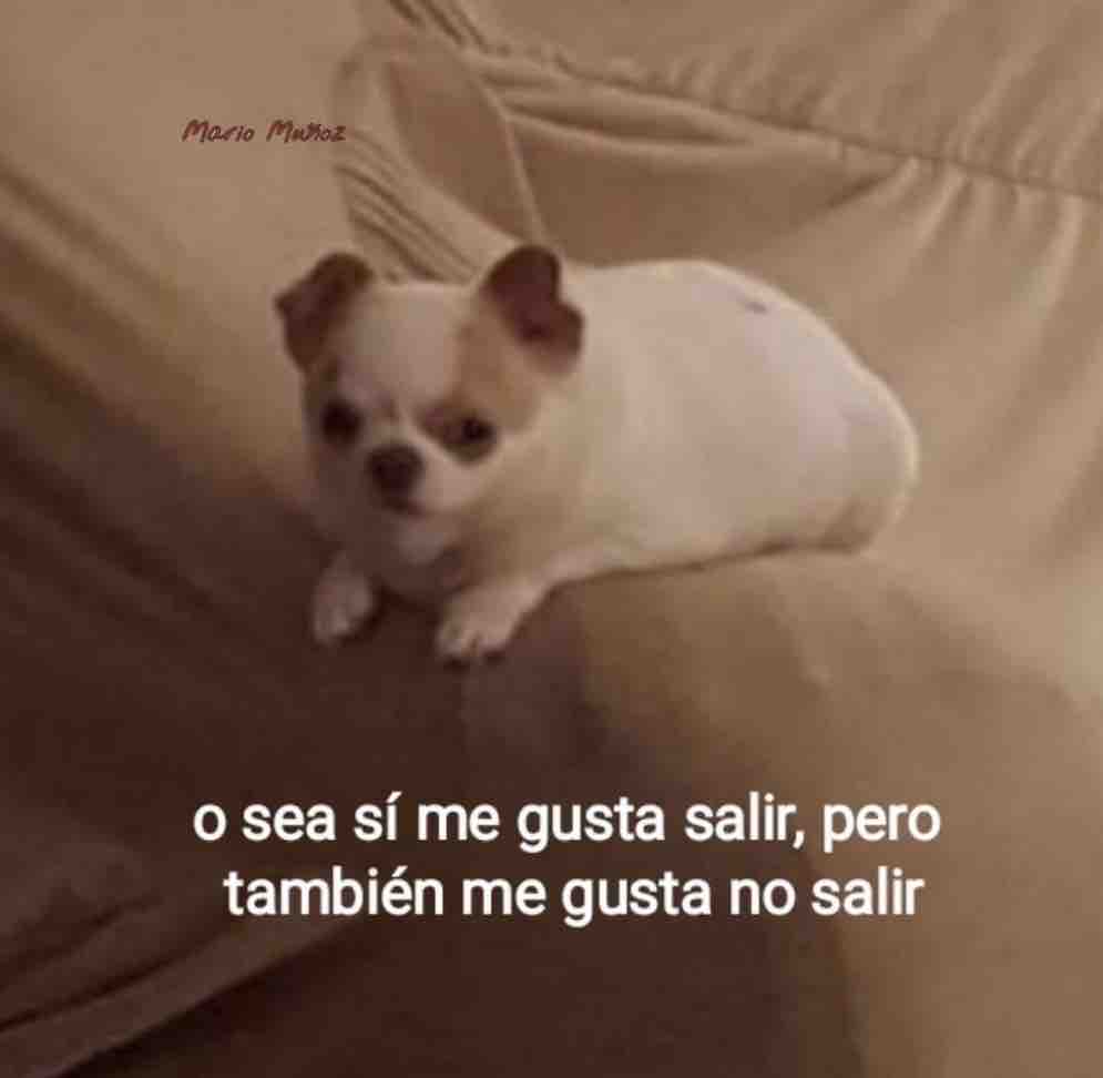 El Guarromántico (@guarromantico_) on Twitter photo 