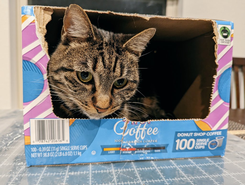 Norma & Zelda tweet media