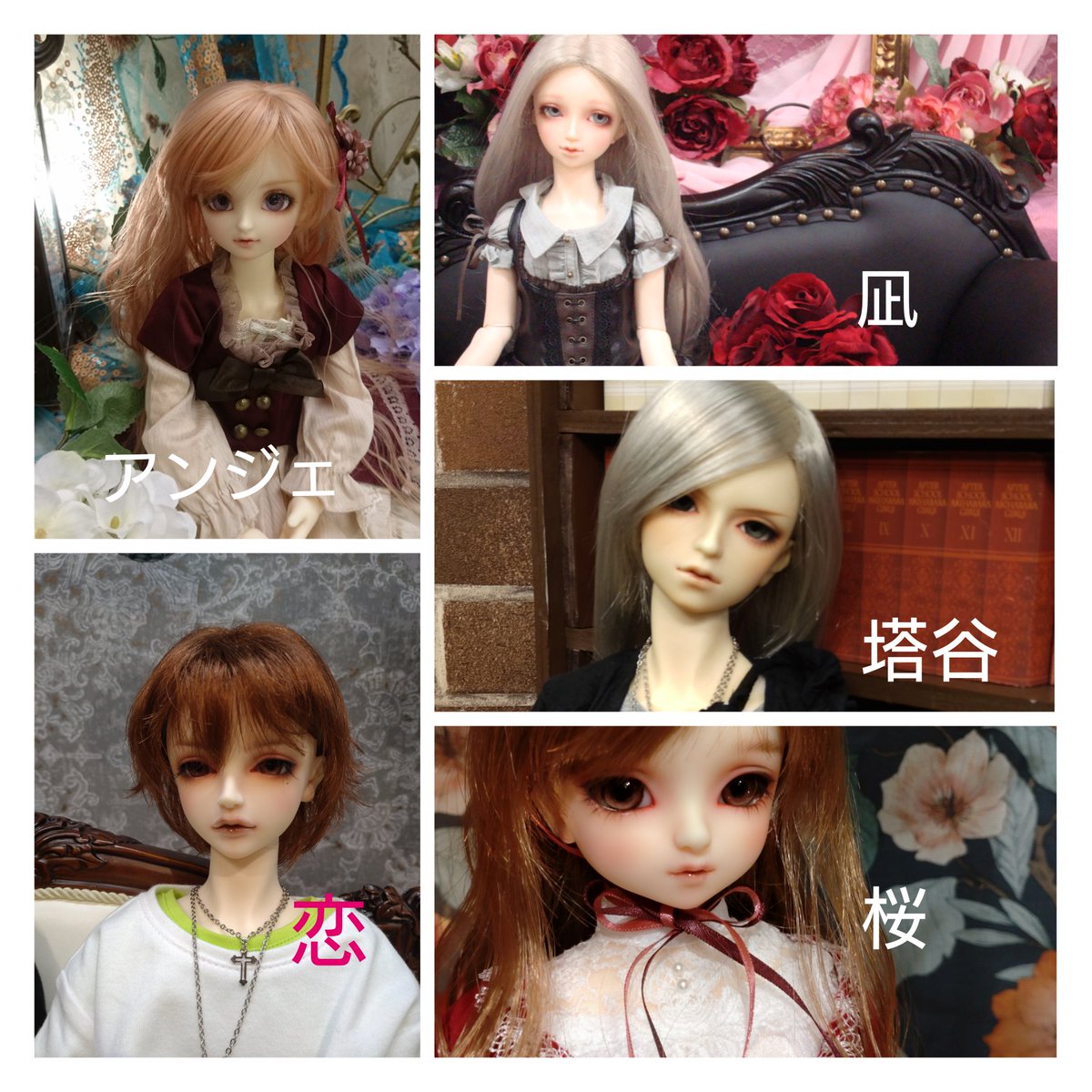 雪白 tweet media