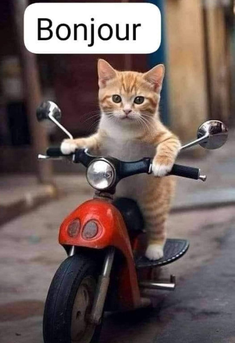 وتسال صغيرتي عن اسباب صمتي 
واعجب وهي التي بضعها مني 
تعلم ماعلمتها وتفهم مالقنتها من بعض فهمي 
عندما يكون الصمت دواء للالم 
فكيف للكلام ان يبوح عني 
عندما ارى الطريق ولااستطيع ان احيد 
فكيف للكلام ان ينجو بها مني 
دعي الصمت ياصغيره 
يعبر لك عني
سياتي يوما وتنطقين انت بالالام عني