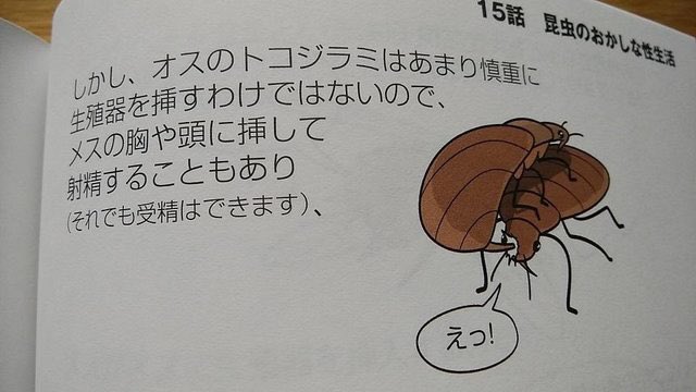 話題のトコジラミさんの性生活やばすぎ