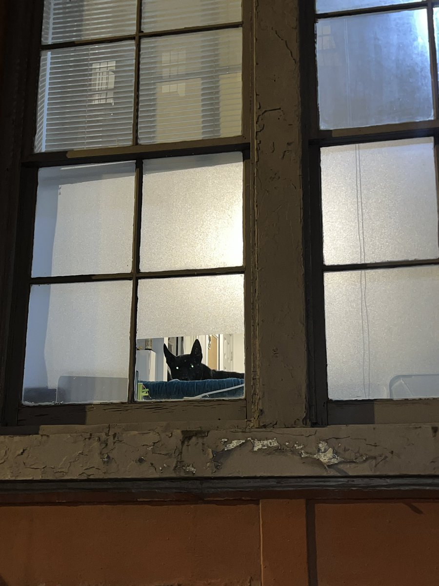 richgrave (@vaporwave) on Twitter photo 