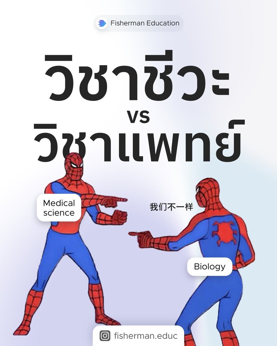 FishermanEduc's tweet photo. วิชาแพทย์และวิชาชีววิทยา ต่างกันอย่างไร
.
#dek66 #dek67 #dek68 #dek69 #dek70 #studygramthailand #studygramth #studygram #studyplan #studywithme #กสพท67 #TCAS66 #TCAS67 #Alevel67 https://t.co/TzfYST8aAY