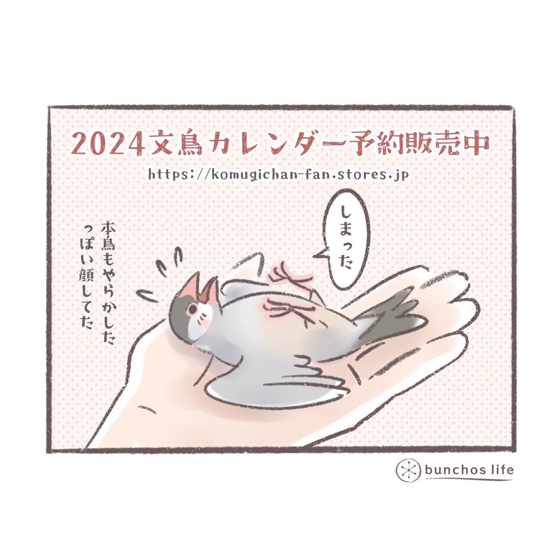 🌿2024年カレンダーの予約販売開始中!Amazon、楽天サイトは固定ツイートからどうぞ✨ ↓↓↓   ※イラストよりも近距離でしかも膝の上にある手で受け止めたのでご安心ください念のため