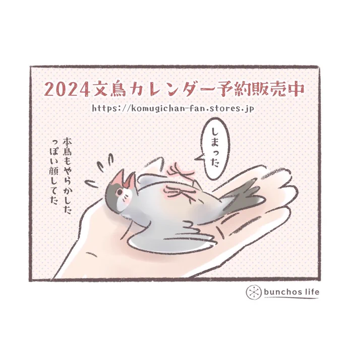 🌿2024年カレンダーの予約販売開始中!Amazon、楽天サイトは固定ツイートからどうぞ✨ ↓↓↓   ※イラストよりも近距離でしかも膝の上にある手で受け止めたのでご安心ください念のため